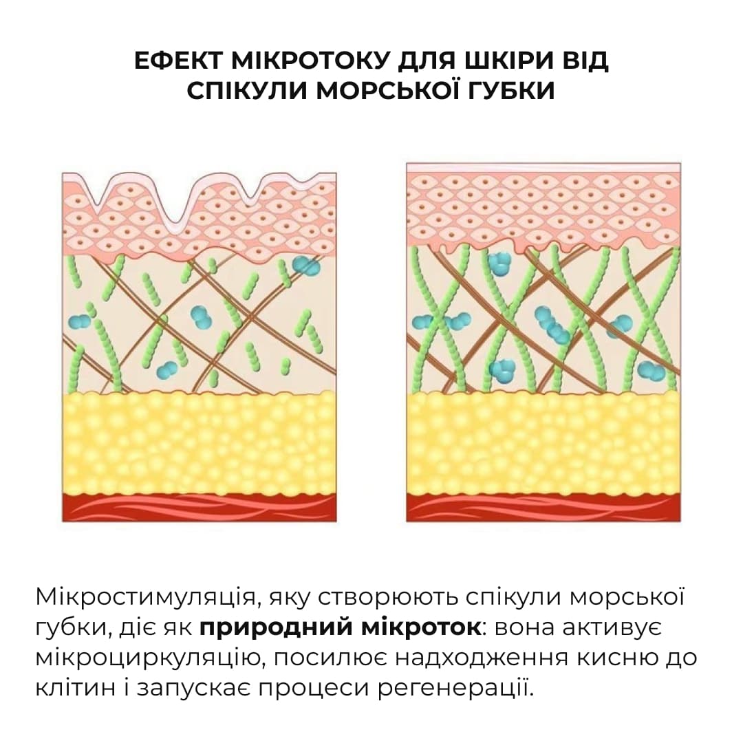 Набір інтенсивного догляду проти зморшок і почервоніння Hillary Intensive Anti-Wrinkle & Redness Care Kit thumbnail